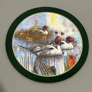 Pot Holder Cork Back Duck Trivet Wildlife Tabletop Decoration Vintage